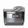 Вакуумный упаковщик HVC-410S2A-G DZQ-4102SA нерж газ
